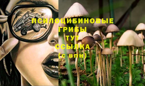 кристаллы Зеленокумск