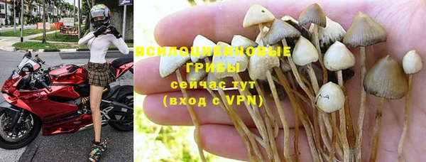 mix Заводоуковск