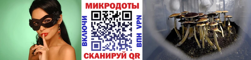 Купить  Сенгилей  Псилоцибиновые грибы ЛСД 